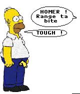 Simpson.Omer.jpg (7428 octets)